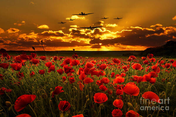 Avro Poster featuring the digital art Sunset Poppies The BBMF by Airpower Art