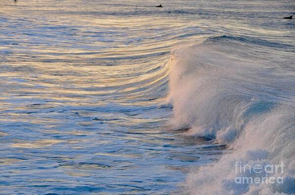 Gold Coast Poster featuring the photograph Sunset Ribbons by Csilla Florida