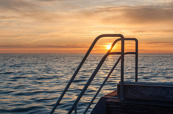 Beauty Poster featuring the photograph Sunset swim by Marcus Karlsson Sall