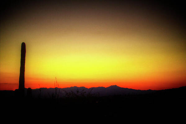Arizona Poster featuring the photograph Sunset Tucson Arizona by Roger Passman