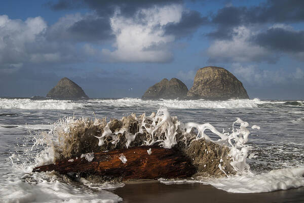 Beach Poster featuring the photograph Surf and Three Arch Rocks by Robert Potts