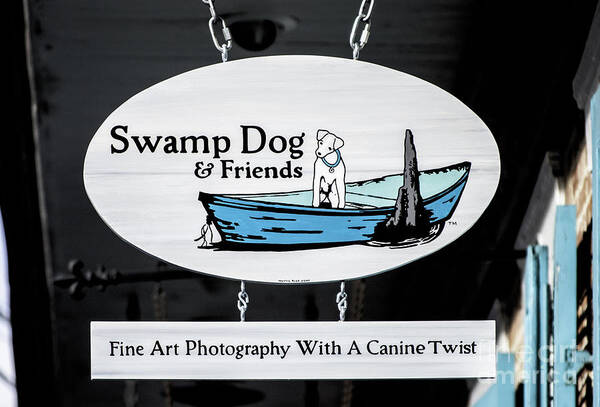 New Orleans Poster featuring the photograph Swamp Dog And Friends by Frances Ann Hattier