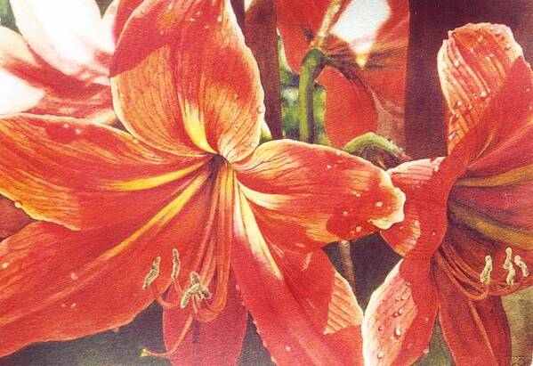 Flower Poster featuring the painting Sweet Amaryllis by Marion Hylton