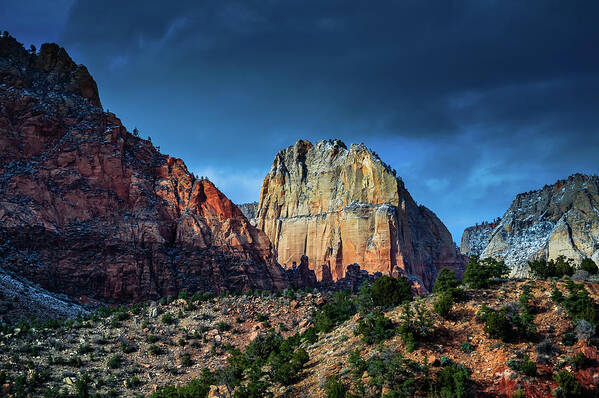 Zion Poster featuring the photograph Sweet Light by Chuck Jason