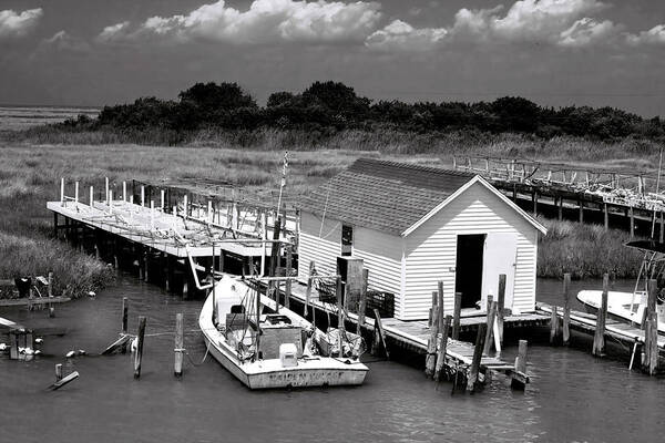 Seascape Poster featuring the photograph Tangier Island 2 by Alan Hausenflock