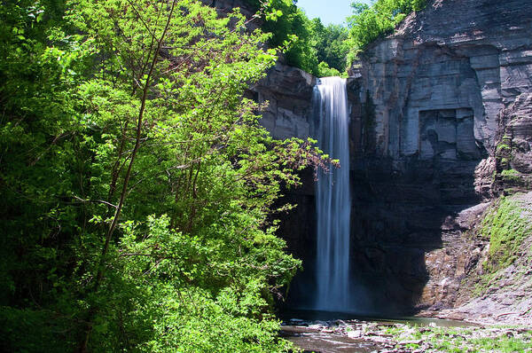 Water Poster featuring the photograph Taughannock Falls 0466 by Guy Whiteley