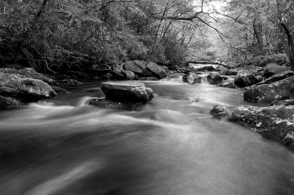 Tellico River Poster featuring the photograph Tellico Waters In Black and White by Greg and Chrystal Mimbs