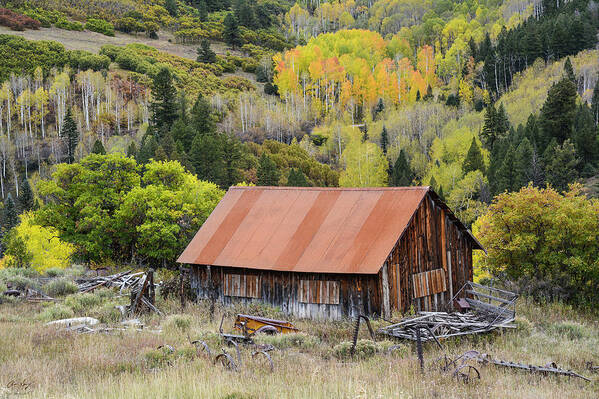 Barn Poster featuring the photograph Telluride Barn by Aaron Spong