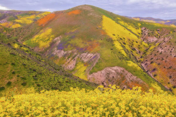 California Poster featuring the photograph Temblor Range Color by Marc Crumpler