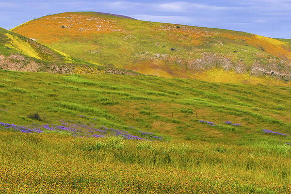 California Poster featuring the photograph Temblor Range Spring Color by Marc Crumpler