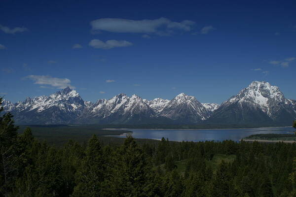 Mountains Poster featuring the photograph Tetons in Blue by Shari Jardina