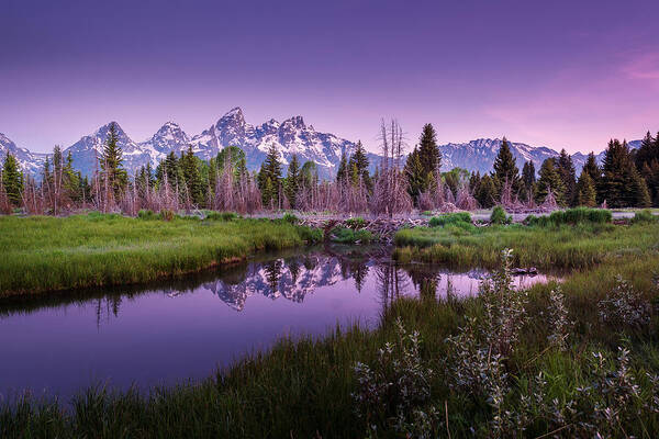 Teton Poster featuring the photograph Tetons in Pink by Mary Angelini