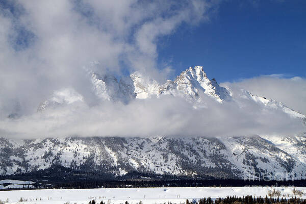 Tetons Poster featuring the photograph Tetons in winter by Edward R Wisell