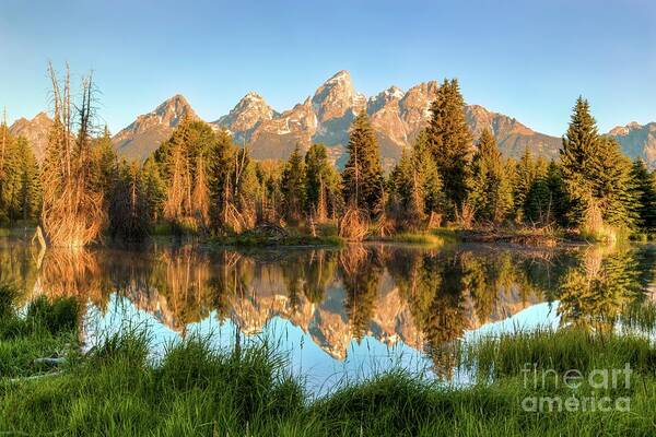  Poster featuring the photograph Tetons Reflection by Roxie Crouch