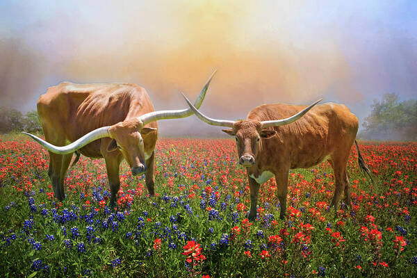 Texas Longhorns Poster featuring the photograph Texas Longhorns in Spring Wildflowers by Lynn Bauer