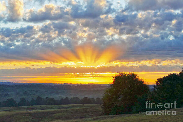 Texas Poster featuring the photograph Texas Piney Woods Sunrise by Catherine Sherman