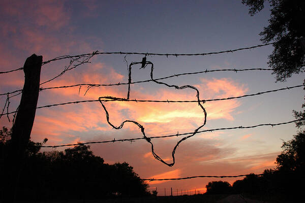 Barbed Wire Poster featuring the photograph Texas Sunset by Robert Anschutz