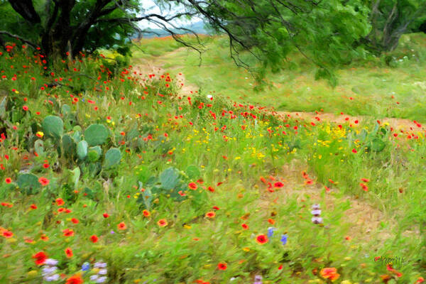 Texas Wildflowers Poster featuring the photograph Texas Wildflowers and Cactus - Country Road by Rebecca Korpita