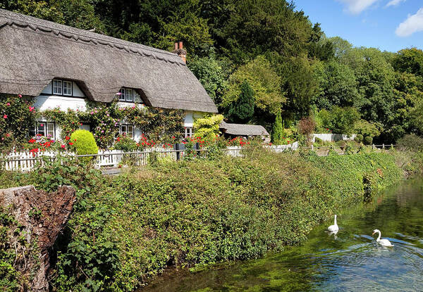 Cottage Poster featuring the photograph Thatched Cottages of Hampshire 16 by Shirley Mitchell