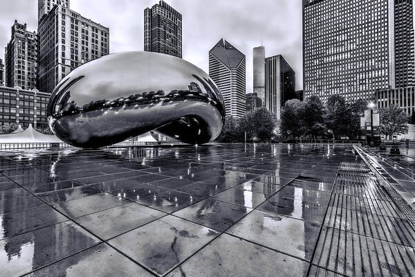The Bean Poster featuring the photograph The Bean Black and White 02 by Josh Bryant