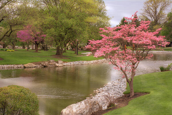 Spring Poster featuring the photograph The Beauty of Spring by Angie Tirado