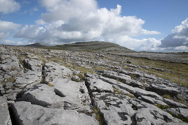 Ireland Poster featuring the photograph The Burren National Park by John Farley