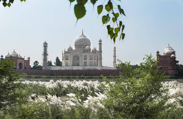 Agra Poster featuring the photograph The Calm behind the Taj Mahal by Art Atkins