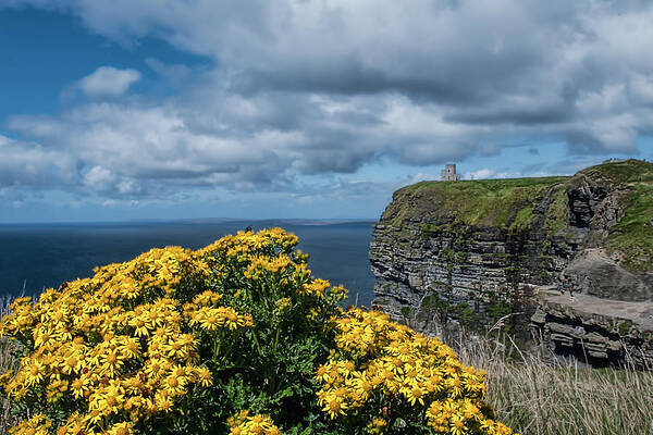 Ireland Poster featuring the photograph The Cliffs of Moher by Christine Czernin Morzin