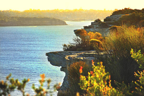 North Head Poster featuring the photograph The Details In North Head by Miroslava Jurcik
