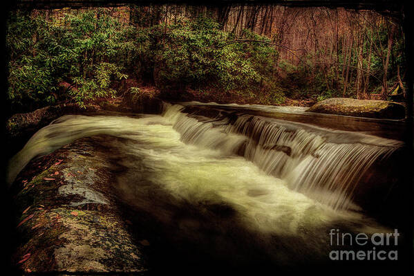 Stream Poster featuring the photograph The Flows Healing Touch by Michael Eingle