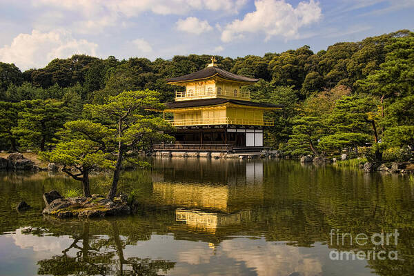 Colour Poster featuring the photograph The Golden Pagoda in Kyoto Japan by David Smith