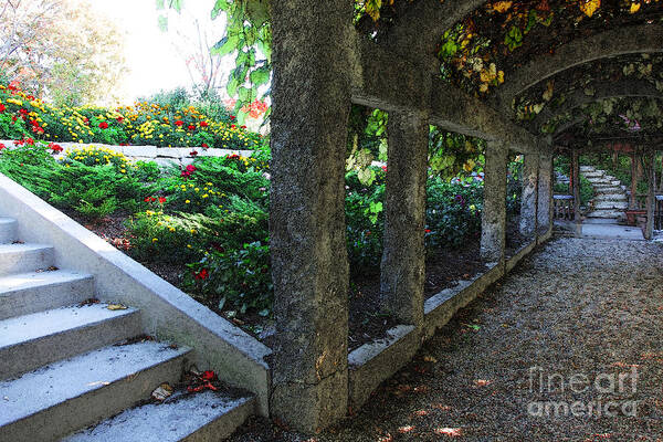 Landscape Poster featuring the digital art The Grape Arbor Path by David Blank