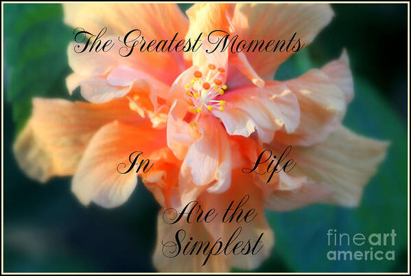 Greatest Moments In Life Quote Poster featuring the photograph The Greatest Moments In Life by Kathy White