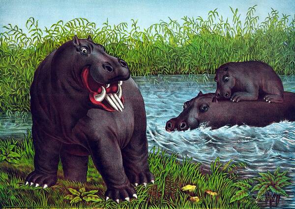 1874 Color Art Poster featuring the painting The hippopotamus, 1874 by Vincent Monozlay