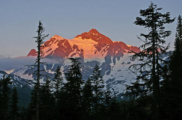 Mt Shuksan Poster featuring the photograph The last light by Ulrich Burkhalter