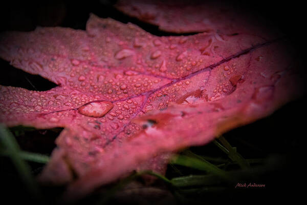 Photo-art Poster featuring the photograph The Last Tear of Summer by Mick Anderson