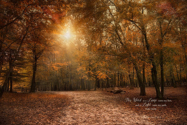 Autumn Poster featuring the photograph The Light by Robin-Lee Vieira