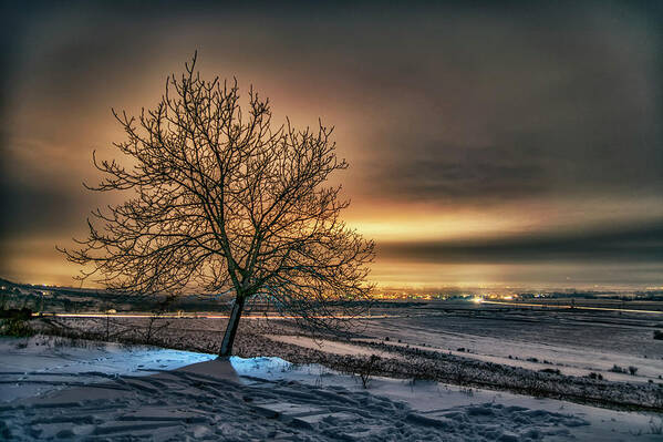 Sky Poster featuring the photograph The lights of the Rose Valley by Plamen Petkov