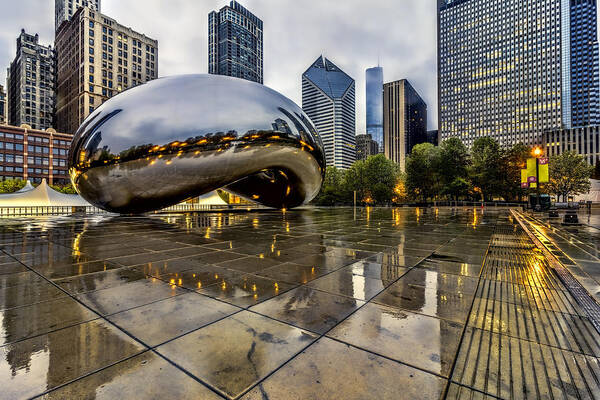 The Bean Poster featuring the photograph The Lonely Bean by Josh Bryant