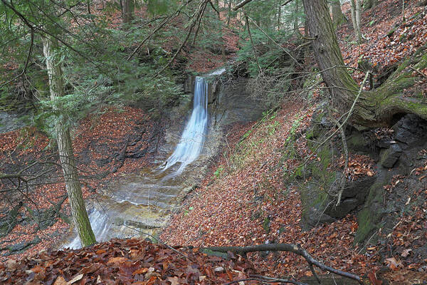 Cazenovia Waterfall Poster featuring the photograph The Magic Waterfall by John Kennedy