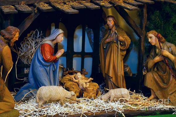 Christmas Cards Poster featuring the photograph The Nativity by Frank J Casella