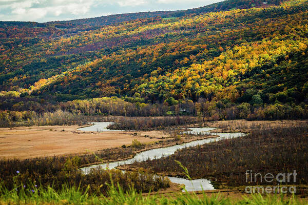 Autumn Poster featuring the photograph The Outlet by Joann Long