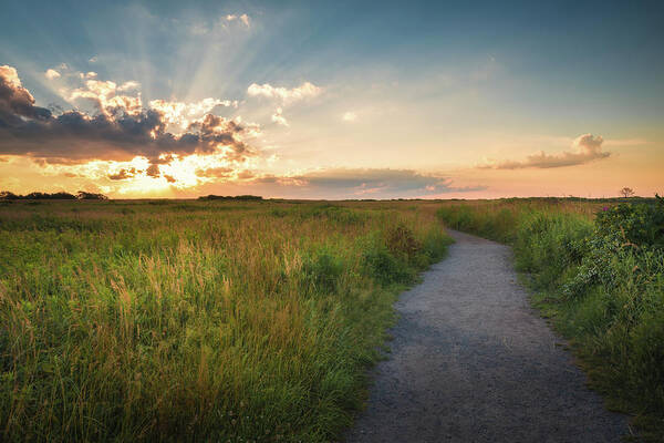 Sunset Poster featuring the photograph The Path That Leads To Life by Kim Carpentier