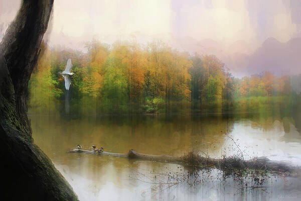 Landscape Poster featuring the photograph The Pond by John Rivera