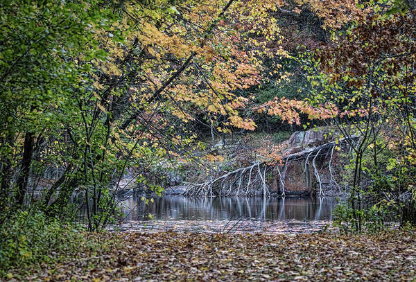 Fall Poster featuring the photograph The Quarry 2016 by Thomas Young