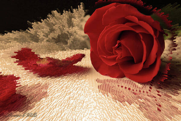 Rose Poster featuring the photograph The Rose by Bonnie Willis