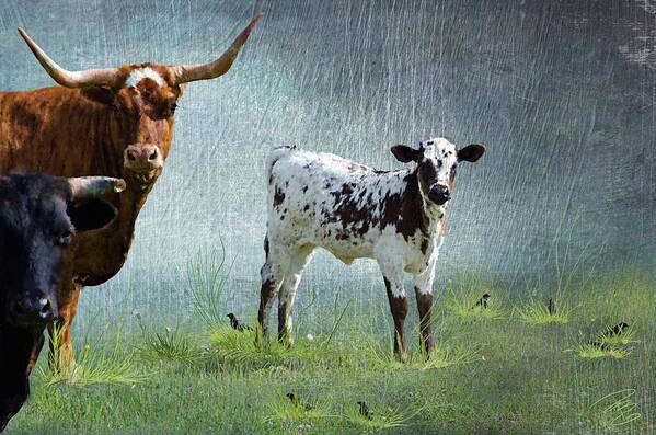 Agriculture Poster featuring the digital art The spotted calf by Debra Baldwin