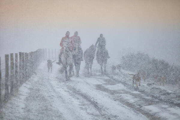 Animals Poster featuring the photograph The Storm Cometh by Mark Egerton