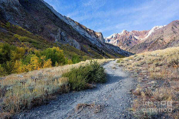Eastern Sierra Poster featuring the photograph The Trail To McGee Creek by Mimi Ditchie