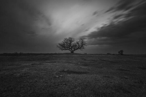 Lee Big Stopper Poster featuring the photograph The Tree by Aaron J Groen